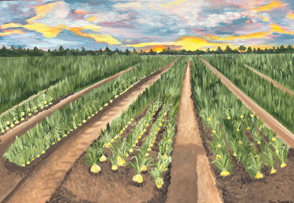 Onion field