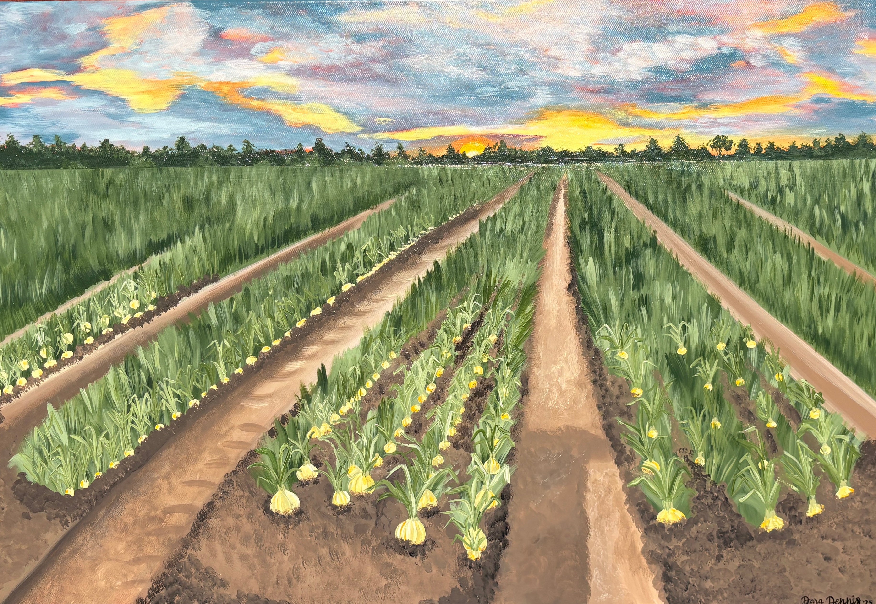 Onion field